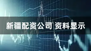 新疆配资公司 资料显示