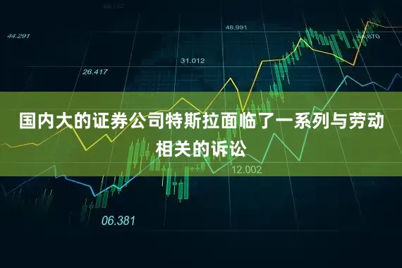 国内大的证券公司特斯拉面临了一系列与劳动相关的诉讼