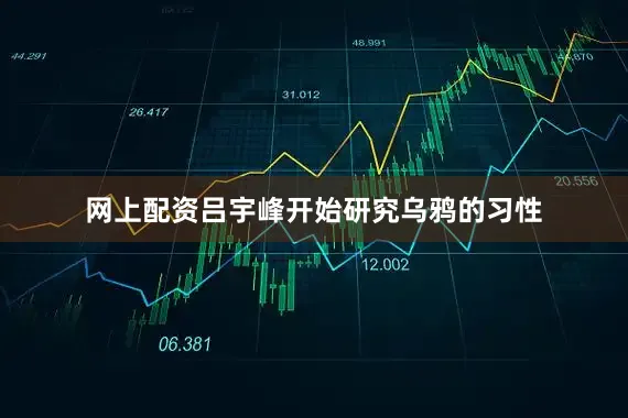 网上配资吕宇峰开始研究乌鸦的习性