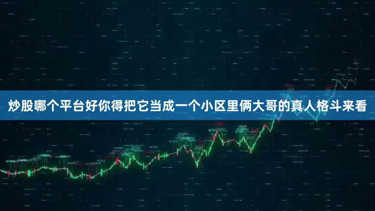 炒股哪个平台好你得把它当成一个小区里俩大哥的真人格斗来看