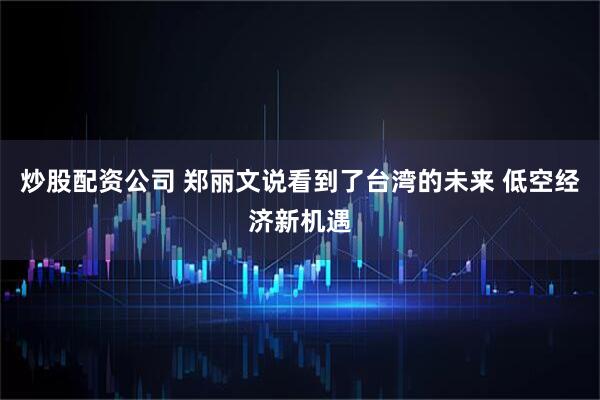 炒股配资公司 郑丽文说看到了台湾的未来 低空经济新机遇